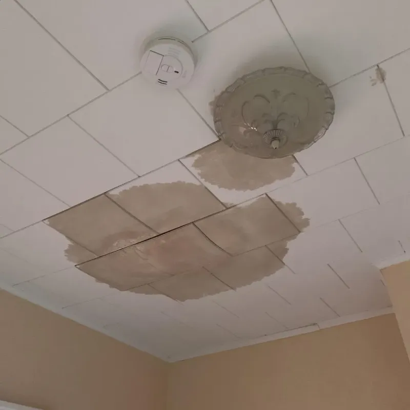 Ceiling Water Damage Repair in Pierce County, ND