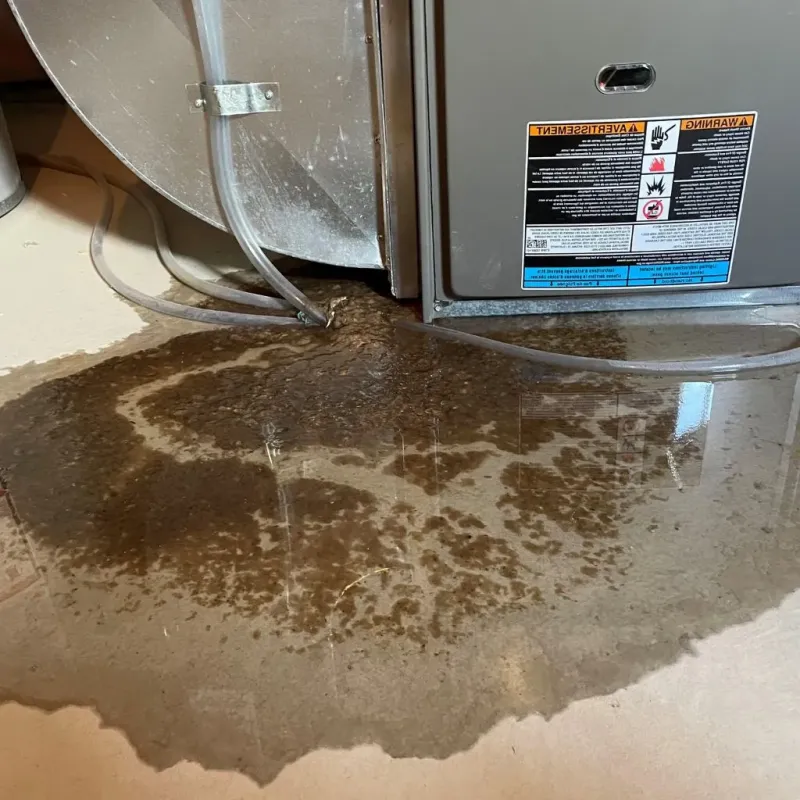 Pipe Burst and Leak Restoration in Pierce County, ND