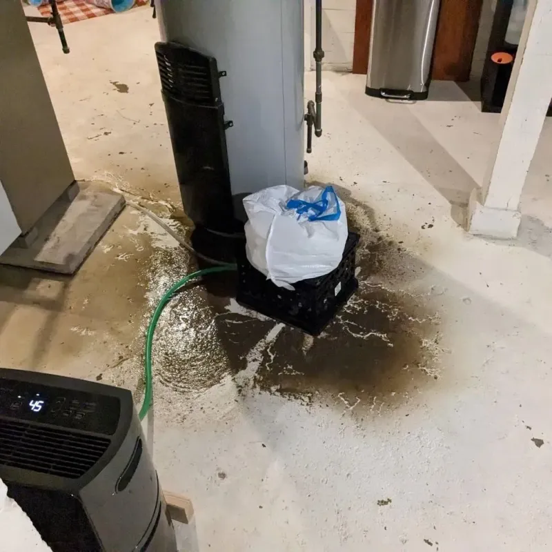 Sewage Backup Cleanup Service in Pierce County, ND